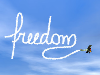 Wall Mural - Freedom text from biplan smoke - 3D render