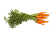 Möhren - Carrots