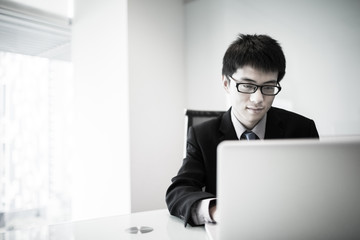 Wall Mural - Young handsome man using laptop in his office