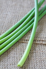 Wall Mural - fresh green garlic allium or leek vegetable