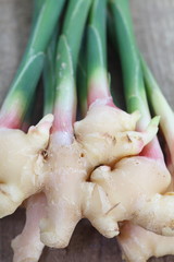 Wall Mural - close - up fresh ginger root vegetable