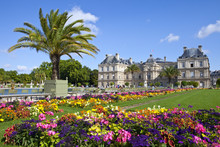 Luxembourg Palace In Jardin Du Luxembourg In Paris