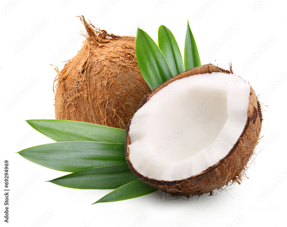 Coconut with palm leaves - obrazy, fototapety, plakaty 