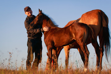 Wall Mural - man with horses