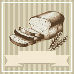 Wall Mural - Sketch of sliced bread and wheat for menu or card design