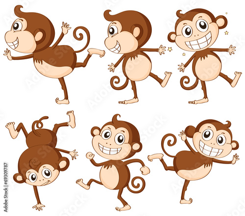 Naklejka ścienna Monkey set