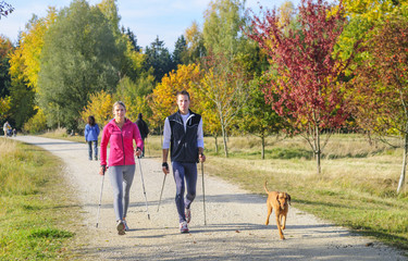 Sticker - Walkingrunde im Herbst