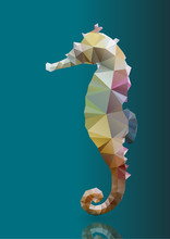 Polygon Abstract Illustration Of Seahorse