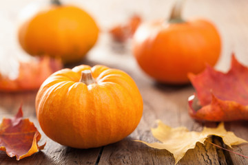 autumn halloween pumpkins on wooden background