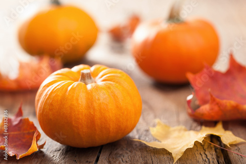 Fotografie, Obraz autumn halloween pumpkins on wooden background