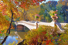 Autumn Colors - Fall Foliage In Central Park, Manhattan,New York