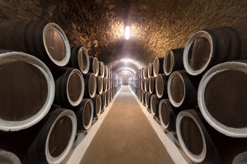 Fotobehang - Wine cellar