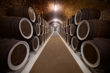 Papier Peint - Wine cellar