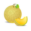 Ripe yellow melon and a piece just on a white background