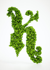 Wall Mural - ecology letter k symbol with white background