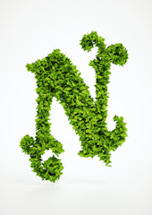 Wall Mural - ecology letter n symbol with white background