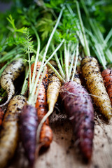 Poster - Rainbow carrots