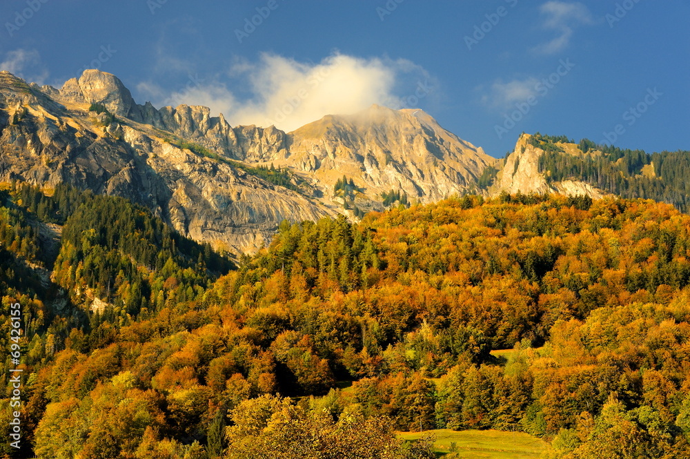krajobraz górski, Szwajcaria, alpy - obrazy, fototapety, plakaty 