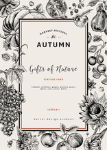 Autumn Harvest. Vector Vintage Card.