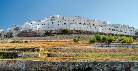 Wall Mural - Ostuni, Puglia, white houses