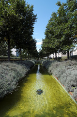 Poster - Paris, promenade plantée