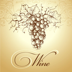 Poster - Wine label with grapes . bunch of grapes
