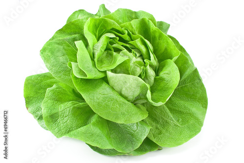 Cuadros en Lienzo Fresh lettuce isolated on white