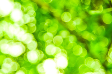 Green bokeh