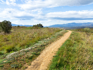 Wall Mural - Field. The path going up. Perspective.