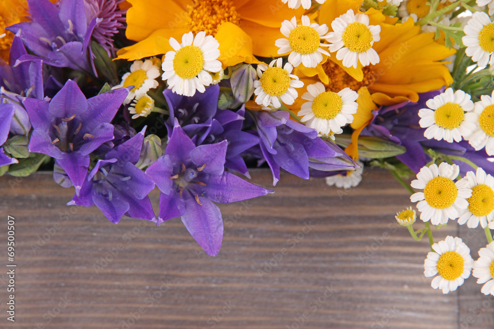 Beautiful flowers in crate close up