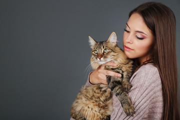 Sticker - Beautiful young woman holding cat on gray background