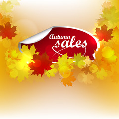 Wall Mural - Autumn sales, vector background with leaves