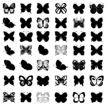 Greate Collection Of Butterflies