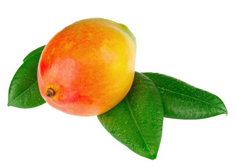 Wall Mural - Fresh mango fruit with green leaves isolated on white background