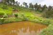 Kenyan Fish Pond