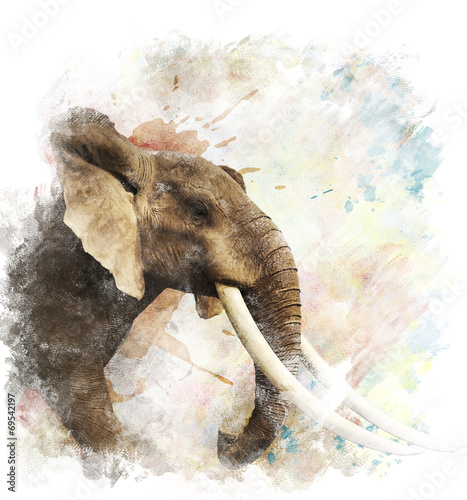 Photo Watercolor Image Of Elephant