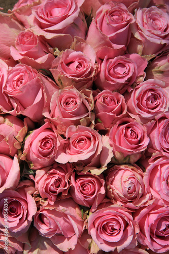 Naklejka na drzwi Pink roses in bridal bouquet