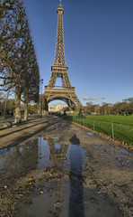 Fototapete - Eiffel Tower and Champ de Mars in Paris, France. Famous landmark