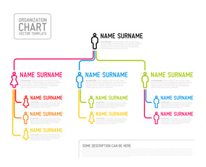 Poster - Vector modern organization chart template made from thin lines