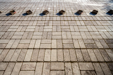 Canvas Print - Concrete paving texture