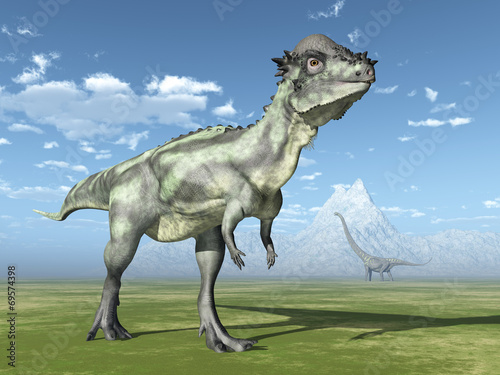 Obraz w ramie The Dinosaurs Pachycephalosaurus and Mamenchisaurus