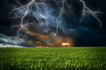 Wall Mural - thunderstorm with lightning in green meadow