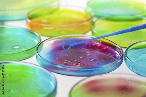 Fotografía Boîte de Petri, ADN, Ciencia, Investigación -