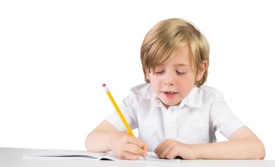 Poster - Happy child writing down homework