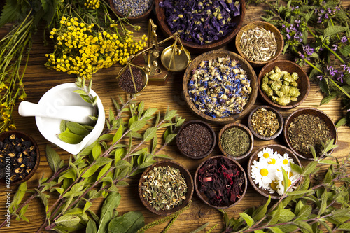 Fototapeta na drzwi i meble Natural medicine, herbs, mortar