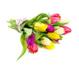 Fototapeta Tulipany - colorful tulips on white background