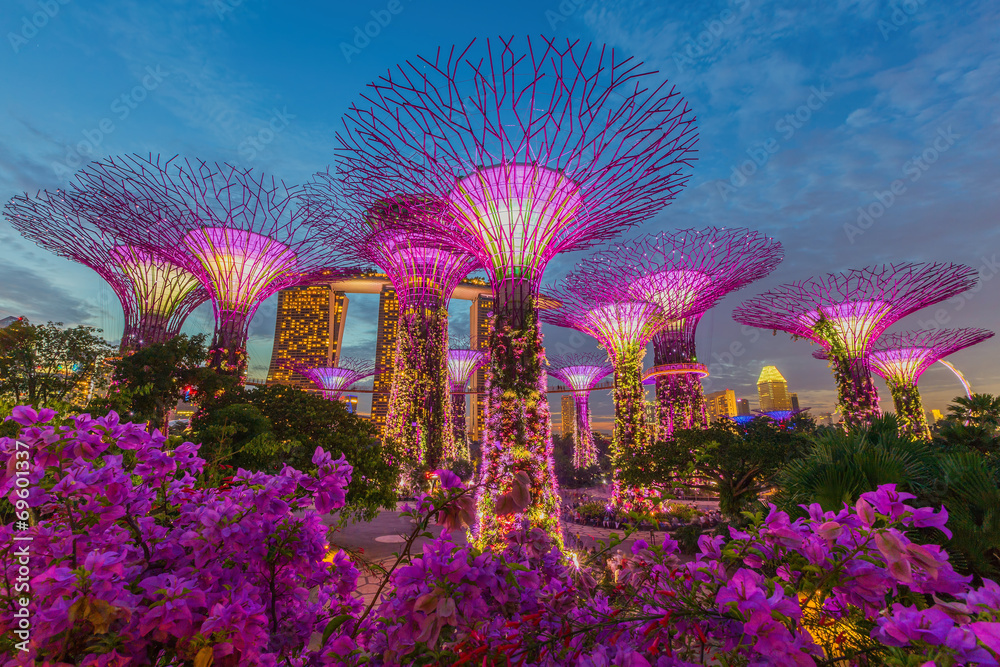 Night view of The Supertree Grove at Gardens by the Bay - obrazy, fototapety, plakaty 