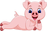 Fototapeta  - Cute pig cartoon