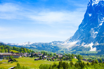Wall Mural - Beautiful view of Grindelwald Alps in Switzerland