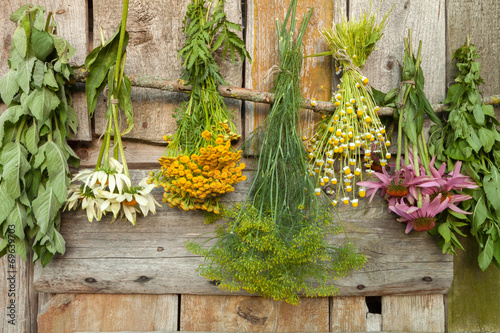 Naklejka nad blat kuchenny Medical herbs